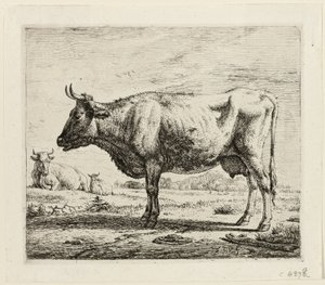 Twee koeien en een schaap door Adriaen van de Velde