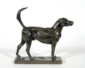 De hond 