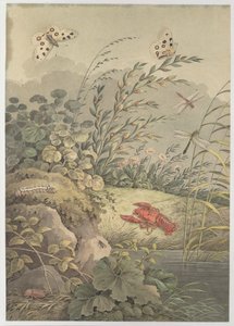 Stuk water met krab, vlinders, libellen en duindoorn, c. 1800 door Adrian Zingg