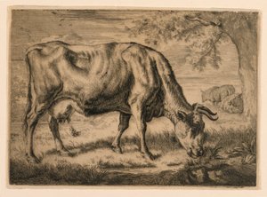 Koe en Twee Schapen aan de Voet van een Boom