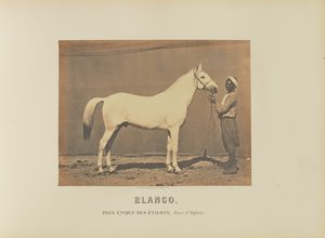 Blanco