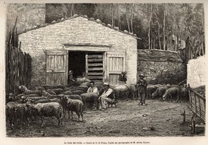 De schapenhandel, al het personeel van de boerderij werd ingezet voor deze taak, jongen, dienaar, onder toezicht van de herder, gravure naar een tekening van A.Marie, ter illustratie van een reis naar Roquefort en omgeving, door Adrien Roques en Jules Char