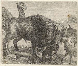 Fabel van de bizon en de andere dieren