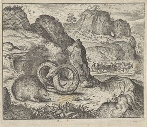 Fabel van de egel en de slang