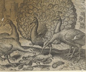 Fabel van de ekster met de pauwenveren door Egidius  Sadeler (II)