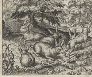 Fabel van de hazen en de kikkers