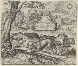 Fabel van de hond en zijn spiegelbeeld