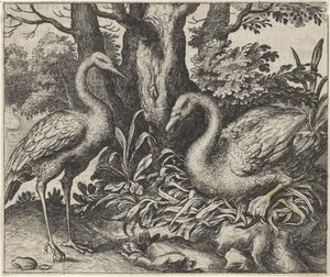 Fabel van de zwaan en de ooievaar