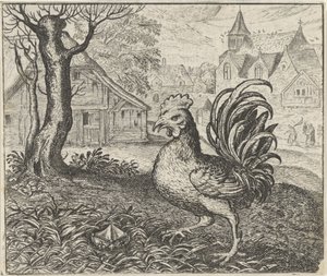 Fabel van de haan en de diamant