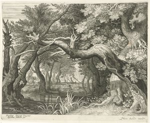 Hertenjacht bij een bosmeer
