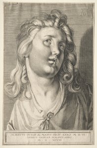 Vrouwelijk Hoofd, 1598