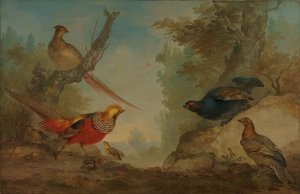  door Aert Schouman