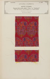 Geweven zijden doekmonster gemaakt in Herat, uit De Collectie van de Textielfabrikanten van India, door John Forbes Watson, gepubliceerd in 1866 door Afghan School