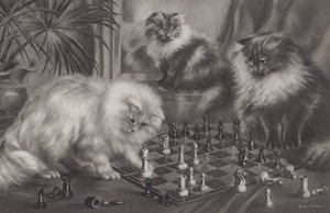 Groep katten die met schaakstukken spelen