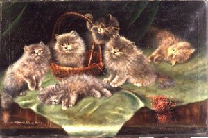 Zes Kittens
