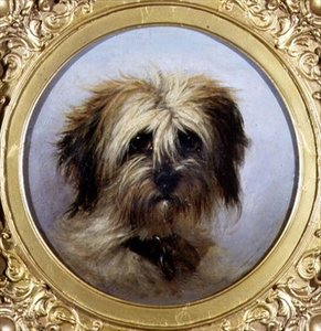 Een Kop van een Terrier