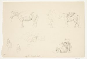 Studieblad met paarden door Agnes Lunn