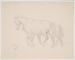 Te paard