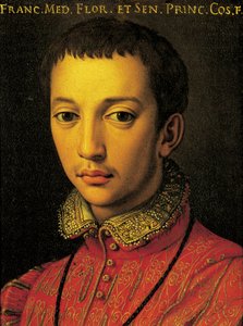 Portret van Francesco I de Medici door Agnolo Bronzino