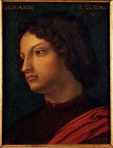 Portret van Giovanni di Cosimo de