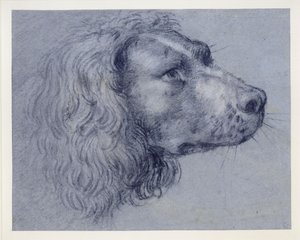  door Agostino Carracci