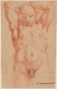 Mannelijk naakt door Agostino Carracci