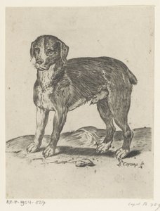 Staande hond door Agostino Carracci