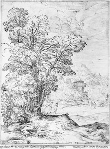 Boslandschap