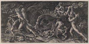 Het kadaver ("Lo Stregozzo")