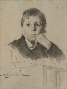  door Akseli Gallen-Kallela