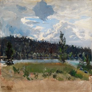  door Akseli Gallen-Kallela