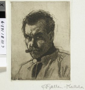  door Akseli Gallen-Kallela