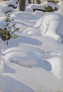  door Akseli Gallen-Kallela