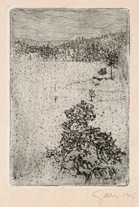  door Akseli Gallen-Kallela
