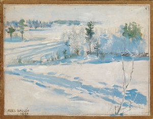  door Akseli Gallen-Kallela