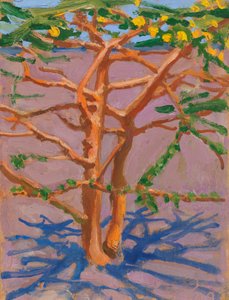  door Akseli Valdemar Gallen-Kallela