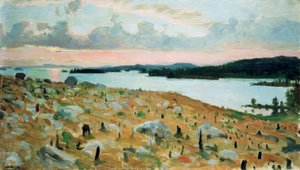 Gekapt Bos aan de Oever van het Kallavesi-meer