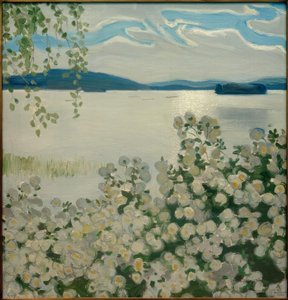 Witte rozen