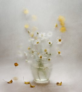 Dromerige madeliefjes en blaadjes door Ala Pneuma