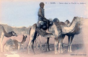 Serere, de Sahel, Senegal, 20e eeuw door Albaret