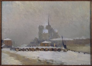 Notre-Dame de Paris, sneeuweffect, avond