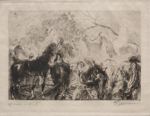 Paardenmarkt in Algiers, 1898