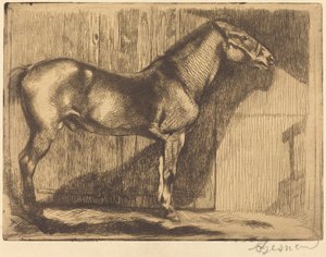 Pony (Le poney)