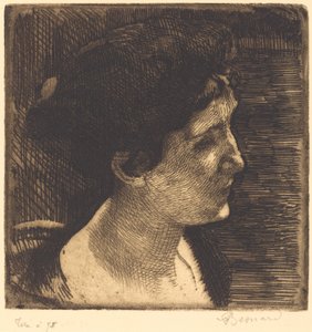 Vrouw in Volledig Profiel