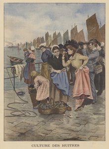 Oesters oogsten in Cancale, Bretagne door Albert Besnou