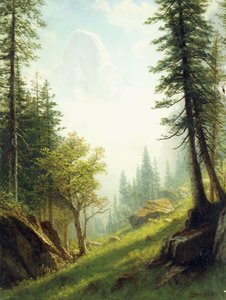 Onder de Berner Alpen