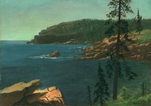 Kust van Californië door Albert Bierstadt