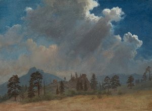 Dennenbomen en stormwolken