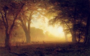 Gouden Licht van Californië