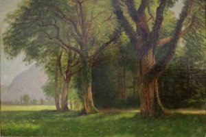 In de vallei van de Yosemite door Albert Bierstadt